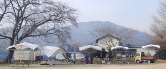 2011年1月15日　オリジナルテント「DARTENT」分校にて5台設置
